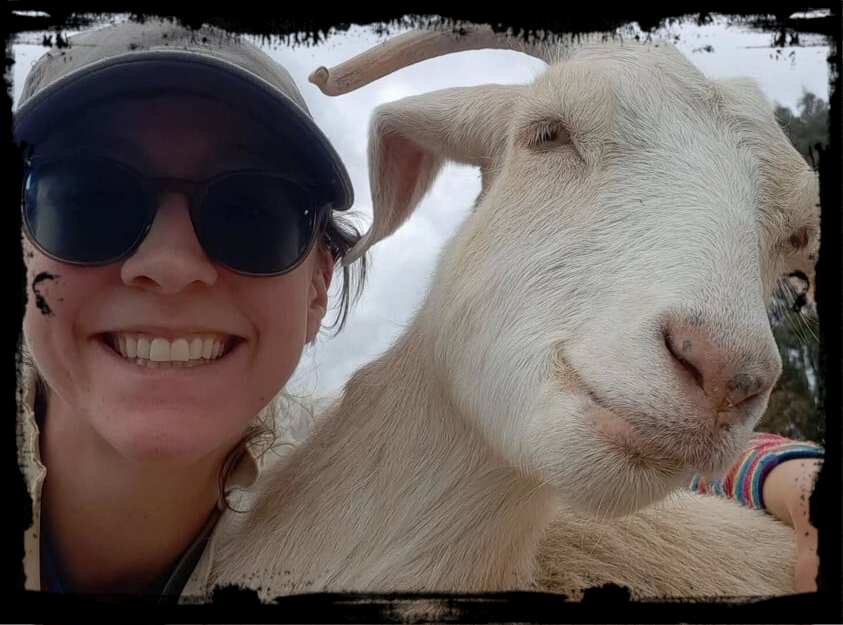 GoatWithBorder GoatWithBorder