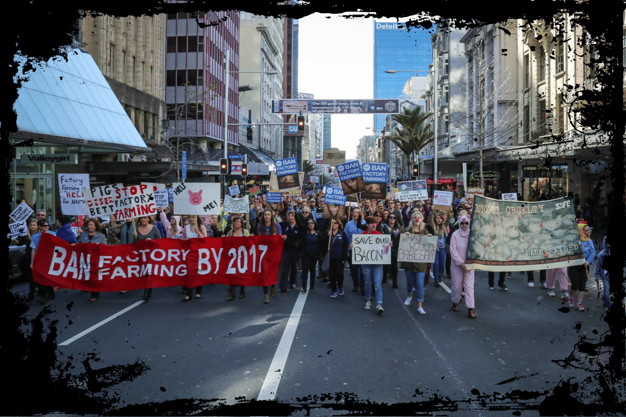 Protest3_Border