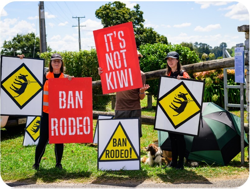 ban rodeo
