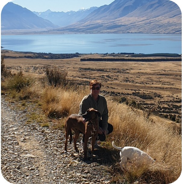 Nik Taylor Nik Taylor