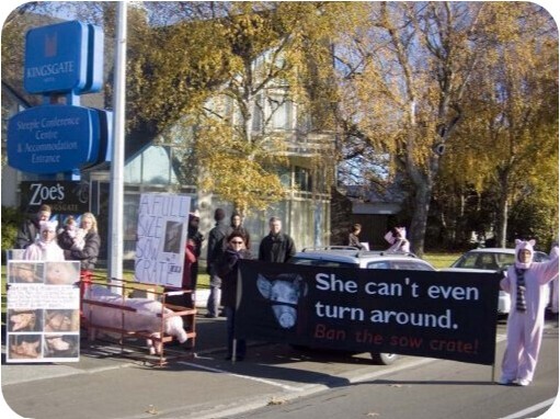 She can't even turn around banner