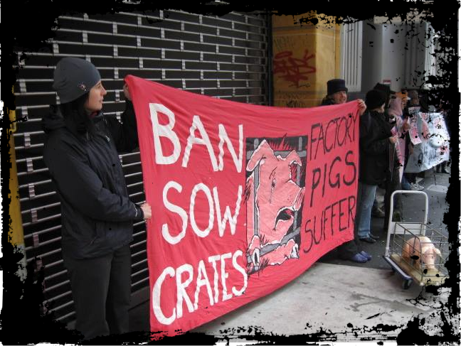 SowCrateProtest_Border
