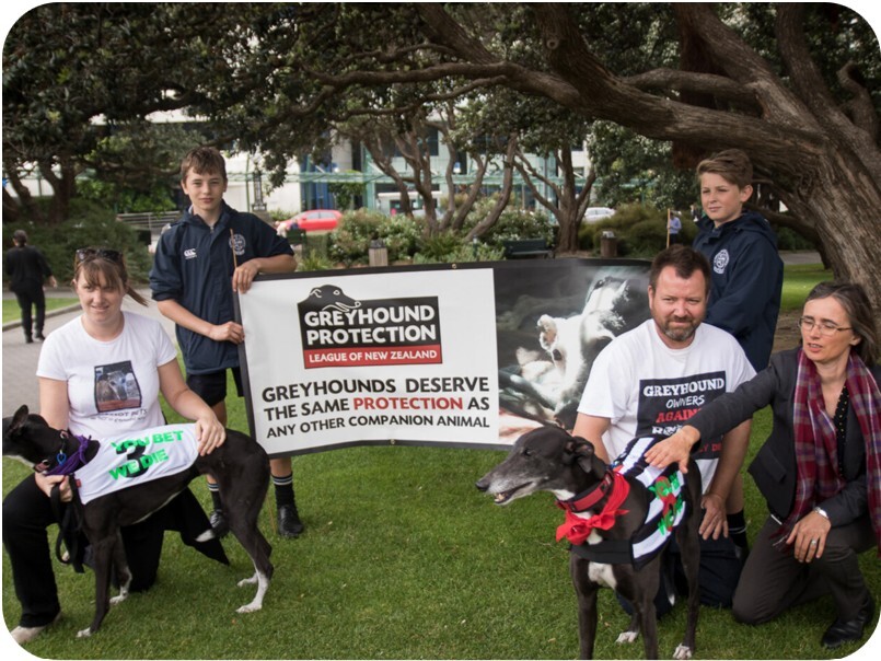 Greyhound petition