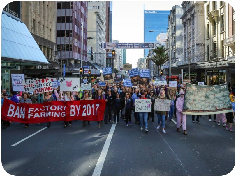 Ban factory farming march
