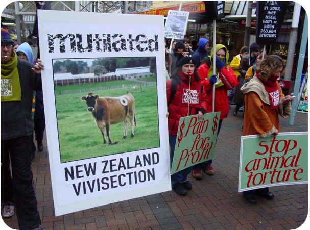 Anti-vivisection placards